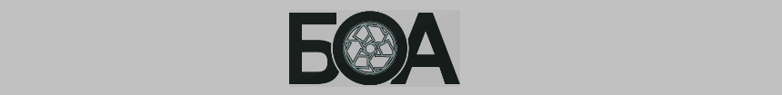 B.O.A. Logo